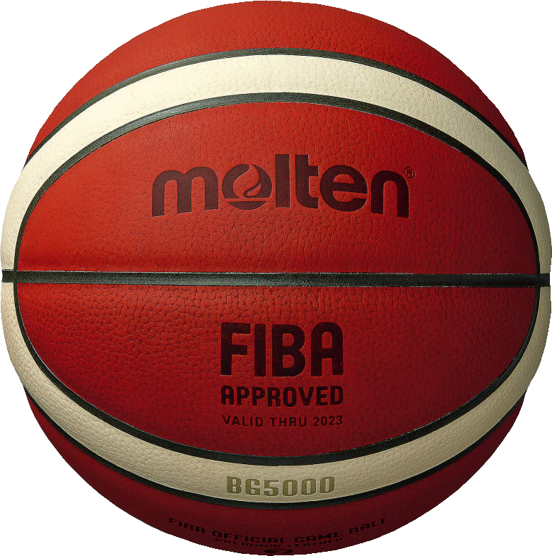 Molten BG5000 Basketball 12 Panel Real Leather (Indoor)